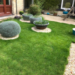 Techniques de taille pour maintenir un jardin esthétique et en bonne santé Echirolles